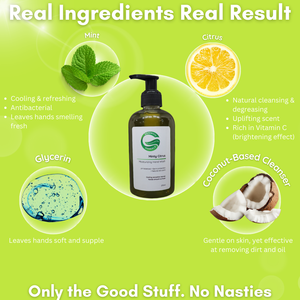 Natural Handwash Liquid Minty Citrus, 270ML, Anti Bacterial Moisturizing Hand Wash